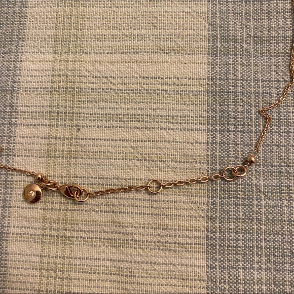 J.Crew Rose Gold Tassel Pendent Long Necklace - Picture 5 of 15